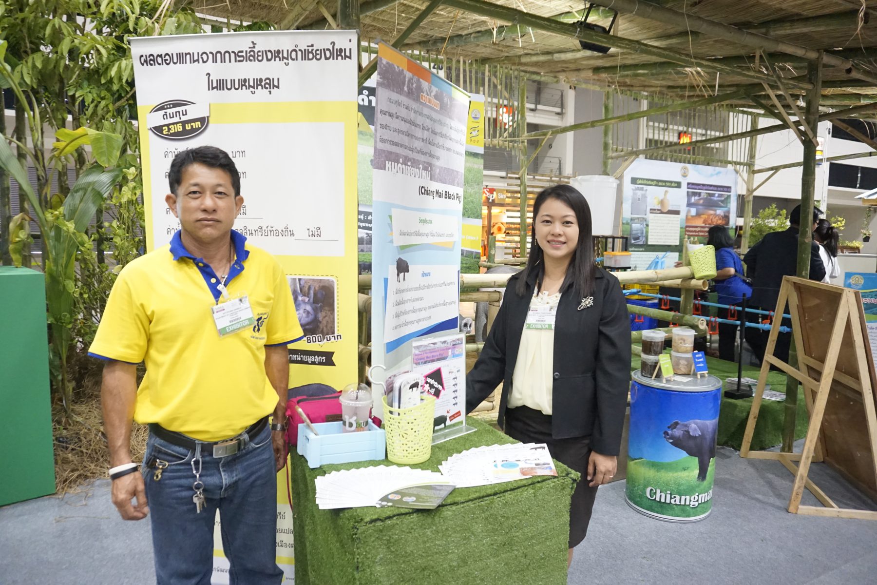 ศูนย์วิจัยและพัฒนาสุกร ร่วมจัดแสดงหมูดำเชียงใหม่ในงาน SimaAseanThailand 2018