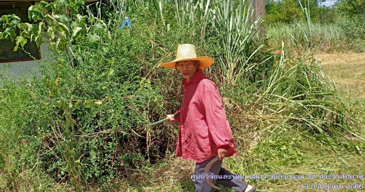 ศูนย์วิจัยและพัฒนาสุกร จัดกิจกรรม 5ส "Big Cleaning Day ประจำเดือนกรกฎาคม 2566 ศูนย์วิจัยและพัฒนาสุกร จัดกิจกรรม 5ส "Big Cleaning Day ประจำเดือนกรกฎาคม 2566