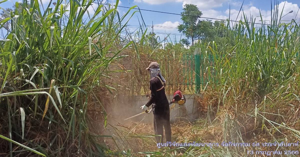 ศูนย์วิจัยและพัฒนาสุกร จัดกิจกรรม 5ส "Big Cleaning Day ประจำเดือนกรกฎาคม 2566 ศูนย์วิจัยและพัฒนาสุกร จัดกิจกรรม 5ส "Big Cleaning Day ประจำเดือนกรกฎาคม 2566