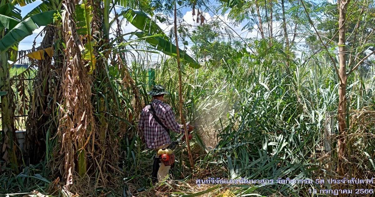 ศูนย์วิจัยและพัฒนาสุกร จัดกิจกรรม 5ส "Big Cleaning Day ประจำเดือนกรกฎาคม 2566 ศูนย์วิจัยและพัฒนาสุกร จัดกิจกรรม 5ส "Big Cleaning Day ประจำเดือนกรกฎาคม 2566