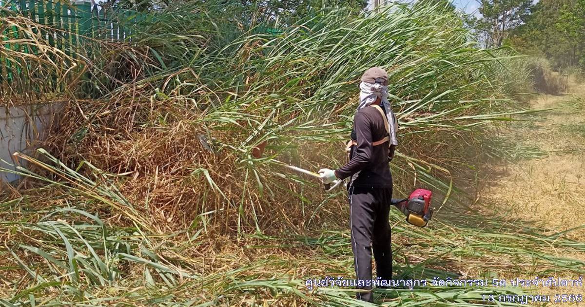 ศูนย์วิจัยและพัฒนาสุกร จัดกิจกรรม 5ส "Big Cleaning Day ประจำเดือนกรกฎาคม 2566 ศูนย์วิจัยและพัฒนาสุกร จัดกิจกรรม 5ส "Big Cleaning Day ประจำเดือนกรกฎาคม 2566