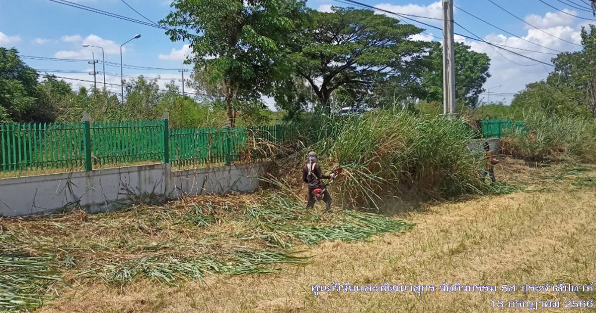 ศูนย์วิจัยและพัฒนาสุกร จัดกิจกรรม 5ส "Big Cleaning Day ประจำเดือนกรกฎาคม 2566 ศูนย์วิจัยและพัฒนาสุกร จัดกิจกรรม 5ส "Big Cleaning Day ประจำเดือนกรกฎาคม 2566