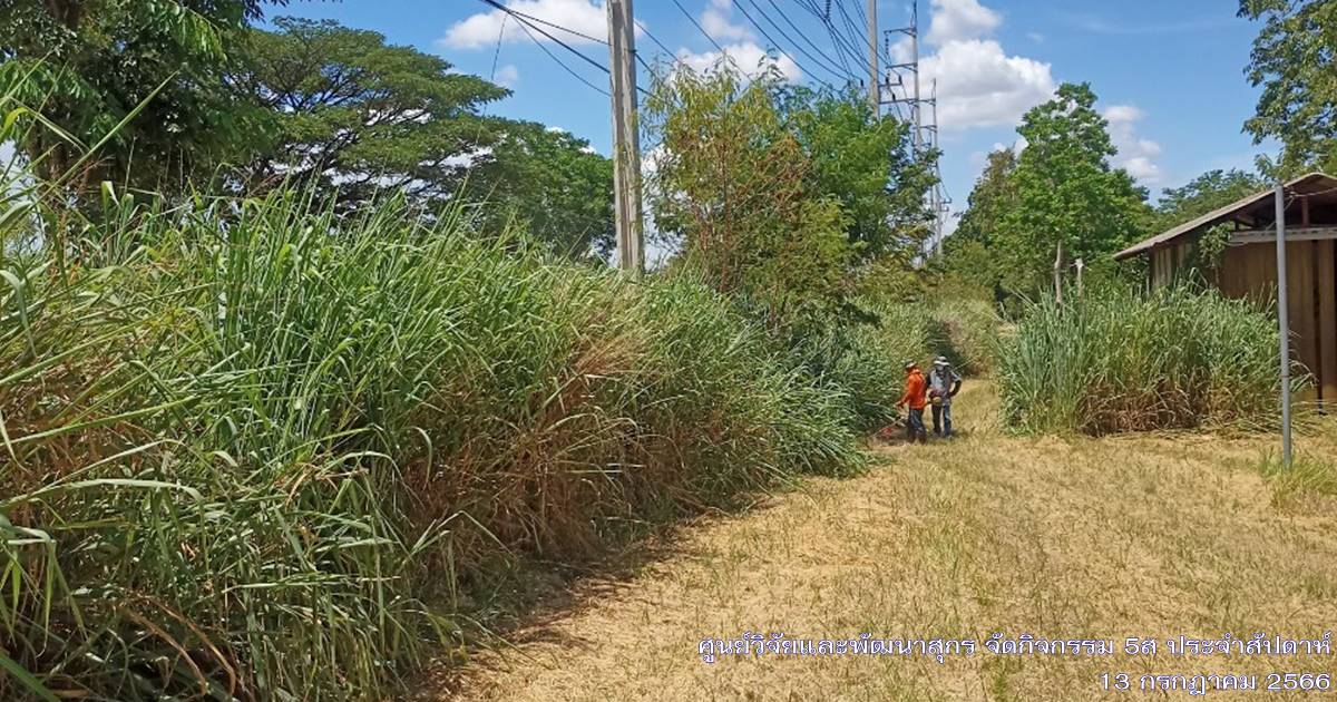 ศูนย์วิจัยและพัฒนาสุกร จัดกิจกรรม 5ส "Big Cleaning Day ประจำเดือนกรกฎาคม 2566 ศูนย์วิจัยและพัฒนาสุกร จัดกิจกรรม 5ส "Big Cleaning Day ประจำเดือนกรกฎาคม 2566