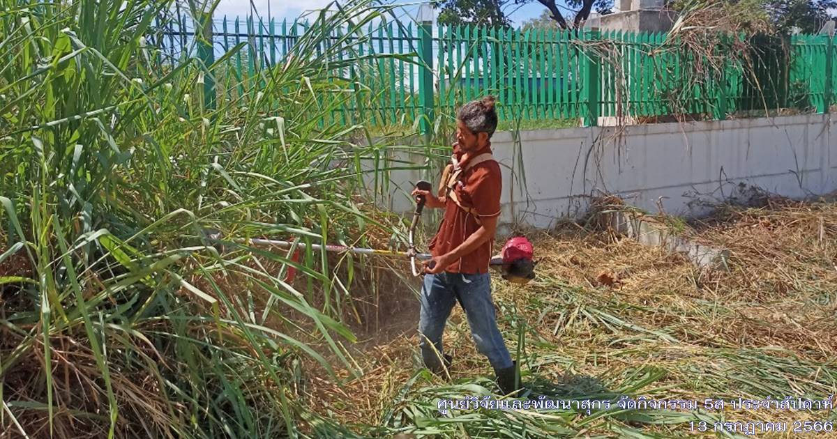 ศูนย์วิจัยและพัฒนาสุกร จัดกิจกรรม 5ส "Big Cleaning Day ประจำเดือนกรกฎาคม 2566 ศูนย์วิจัยและพัฒนาสุกร จัดกิจกรรม 5ส "Big Cleaning Day ประจำเดือนกรกฎาคม 2566