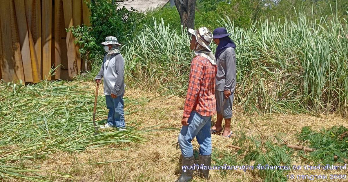 ศูนย์วิจัยและพัฒนาสุกร จัดกิจกรรม 5ส "Big Cleaning Day ประจำเดือนกรกฎาคม 2566 ศูนย์วิจัยและพัฒนาสุกร จัดกิจกรรม 5ส "Big Cleaning Day ประจำเดือนกรกฎาคม 2566