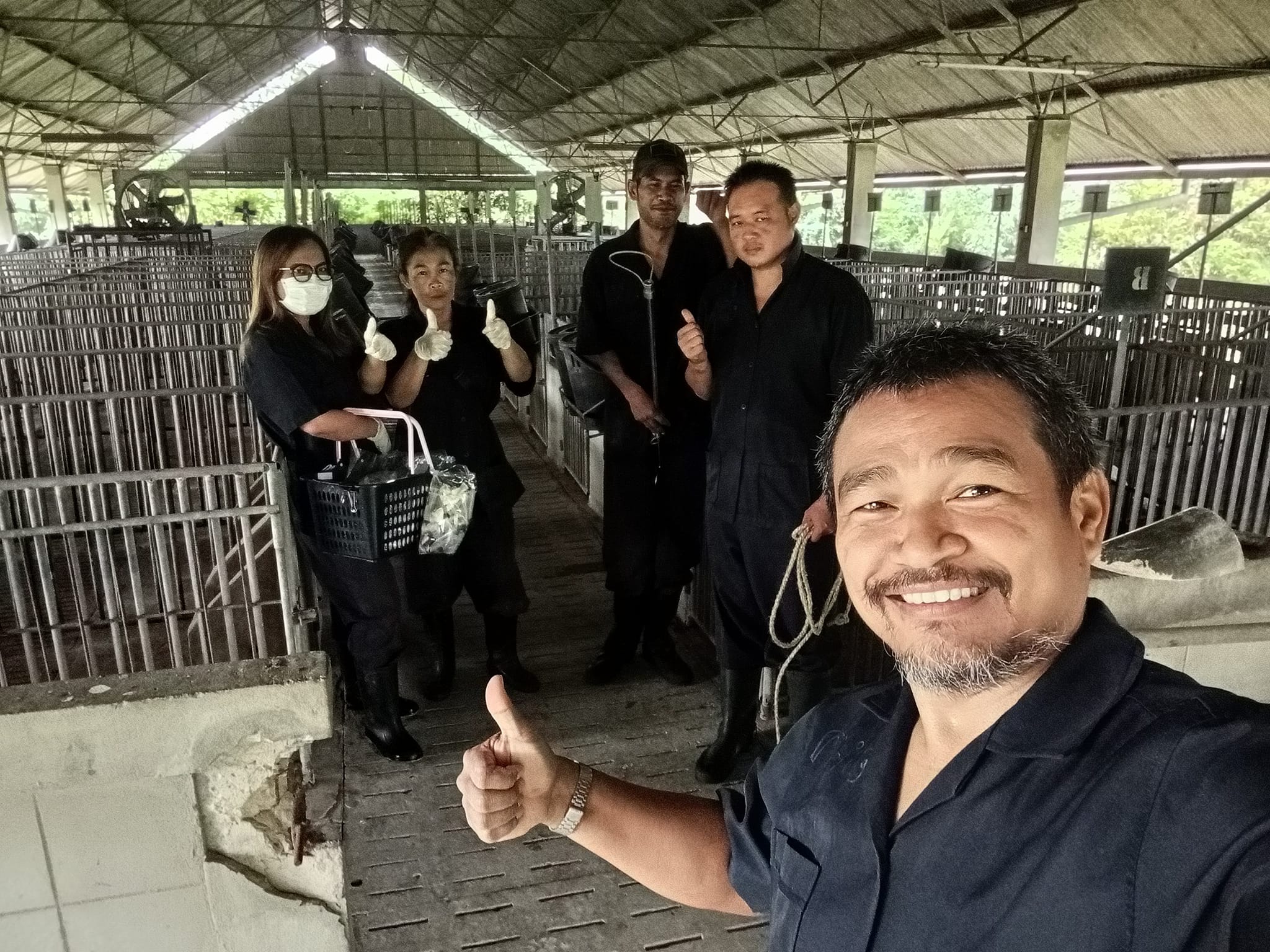 เจาะเลือดสุกรเพื่อตรวจโรคประจำปีงบประมาณ 2568 ครั้งที่ 1 เจาะเลือดสุกรเพื่อตรวจโรคประจำปีงบประมาณ 2568 ครั้งที่ 1