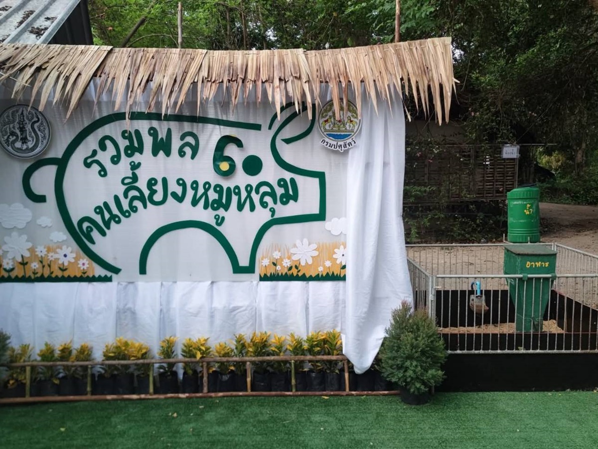 ศูนย์วิจัยและพัฒนาสุกร ร่วมจัดกิจกรรมเสวนาเครือข่ายการเลี้ยงหมูหลุม (รวมพลคนเลี้ยงหมูหลุม) ครั้งที่ 6 ประจำปี พ.ศ. 2568 ศูนย์วิจัยและพัฒนาสุกร ร่วมจัดกิจกรรมเสวนาเครือข่ายการเลี้ยงหมูหลุม (รวมพลคนเลี้ยงหมูหลุม) ครั้งที่ 6 ประจำปี พ.ศ. 2568