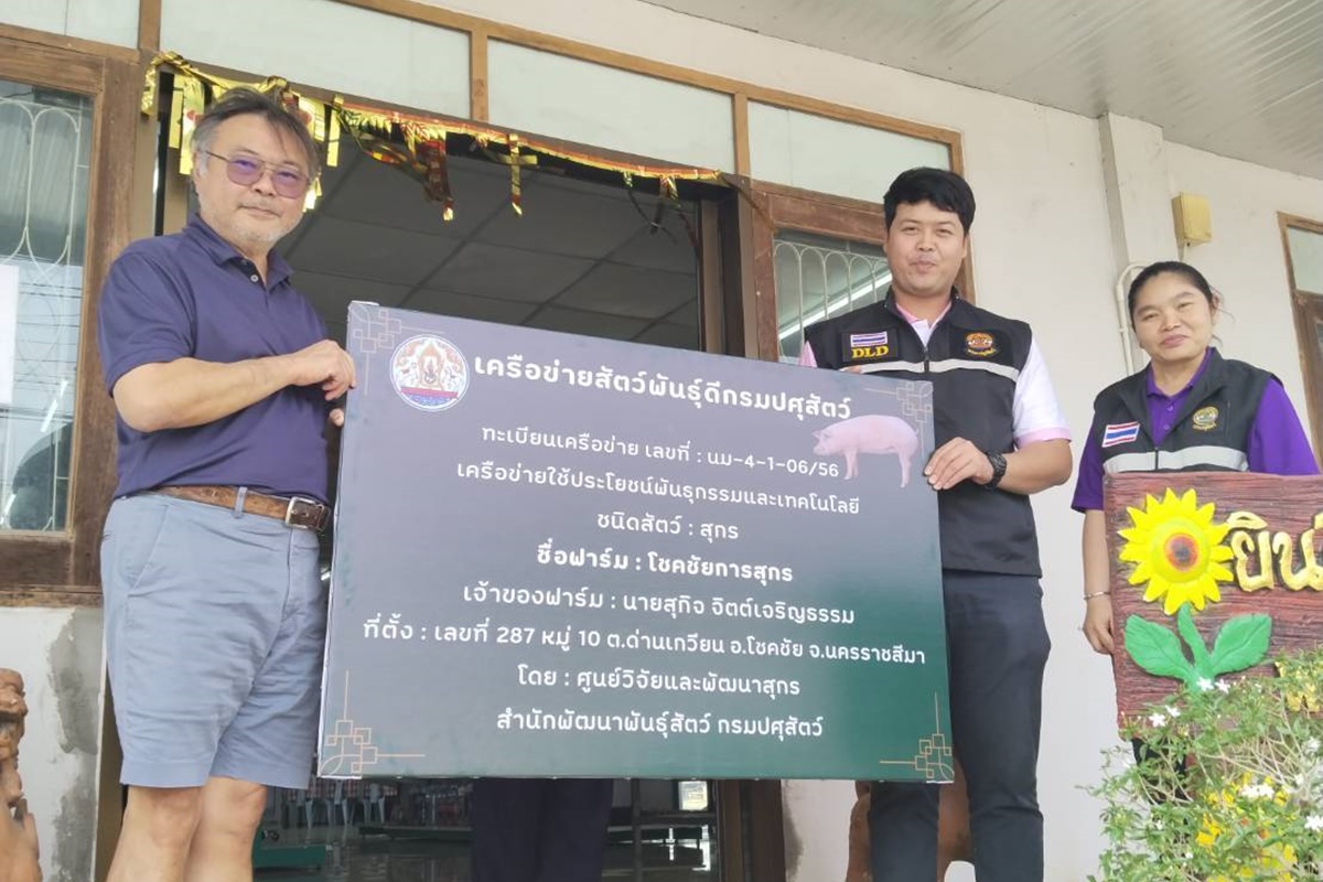 ศูนย์วิจัยและพัฒนาสุกร ดำเนินการติดตาม ตรวจเยี่ยมกิจกรรมเครือข่ายสัตว์พันธุ์ดีกรมปศสัตว์ รอบที่1/2568(ฟาร์มโชคชัยการสุกร) ศูนย์วิจัยและพัฒนาสุกร ดำเนินการติดตาม ตรวจเยี่ยมกิจกรรมเครือข่ายสัตว์พันธุ์ดีกรมปศสัตว์ รอบที่1/2568(ฟาร์มโชคชัยการสุกร)