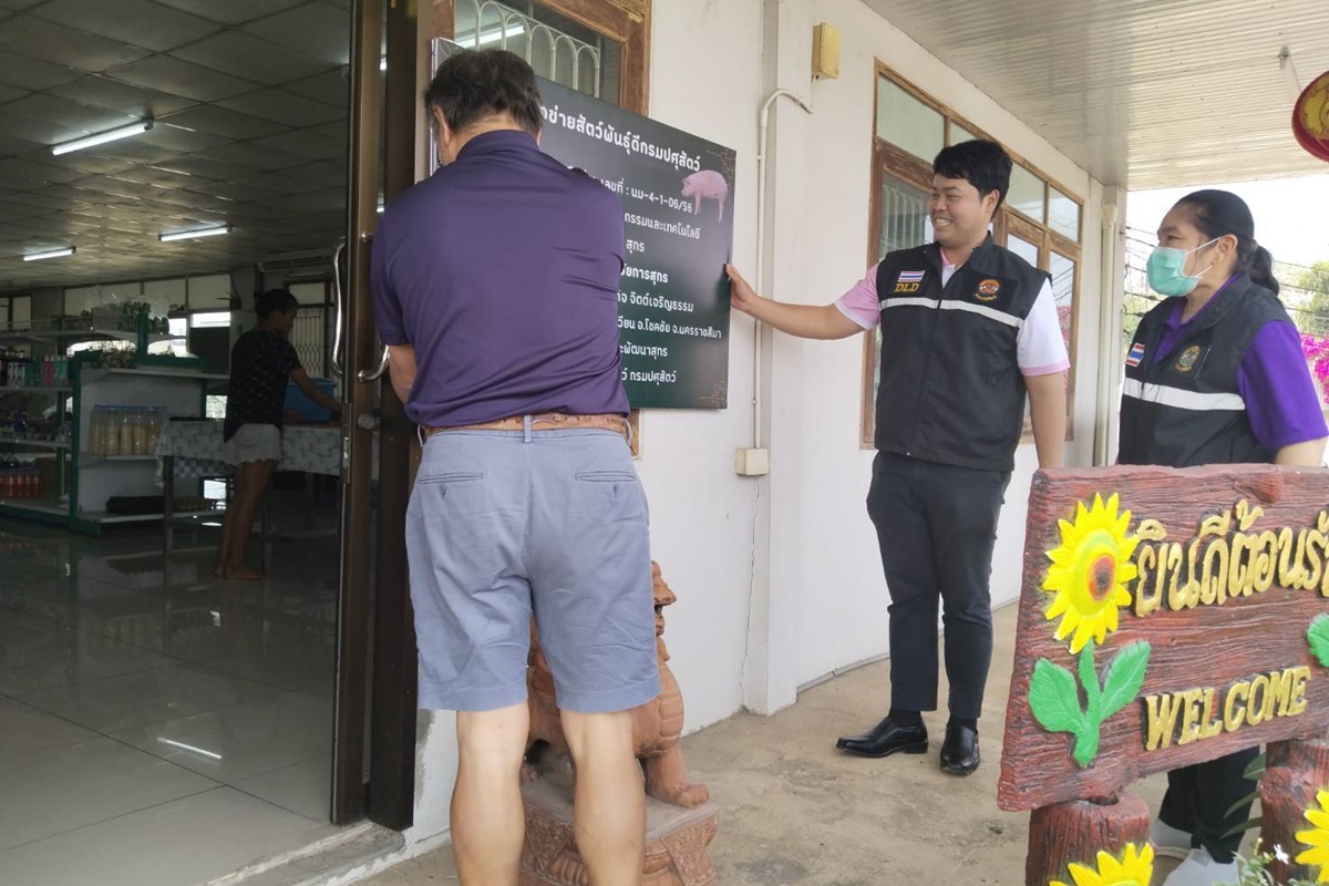 ศูนย์วิจัยและพัฒนาสุกร ดำเนินการติดตาม ตรวจเยี่ยมกิจกรรมเครือข่ายสัตว์พันธุ์ดีกรมปศสัตว์ รอบที่1/2568(ฟาร์มโชคชัยการสุกร) ศูนย์วิจัยและพัฒนาสุกร ดำเนินการติดตาม ตรวจเยี่ยมกิจกรรมเครือข่ายสัตว์พันธุ์ดีกรมปศสัตว์ รอบที่1/2568(ฟาร์มโชคชัยการสุกร)